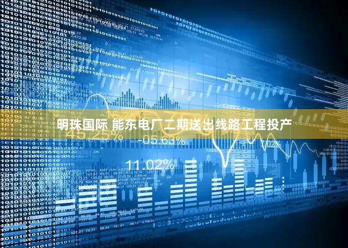 明珠国际 能东电厂二期送出线路工程投产
