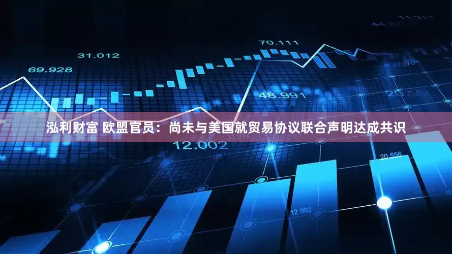 泓利财富 欧盟官员：尚未与美国就贸易协议联合声明达成共识