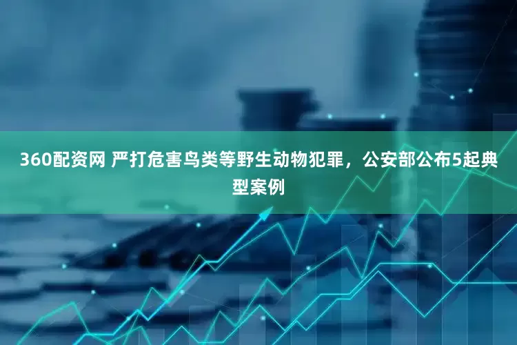 360配资网 严打危害鸟类等野生动物犯罪，公安部公布5起典型案例