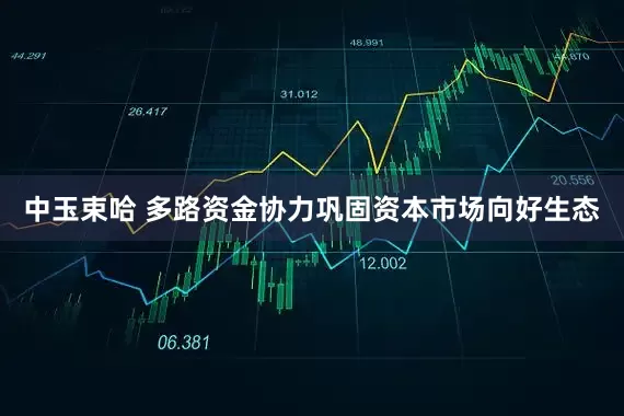 中玉束哈 多路资金协力巩固资本市场向好生态