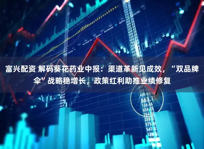 富兴配资 解码葵花药业中报：渠道革新见成效，“双品牌伞”战略稳增长，政策红利助推业绩修复
